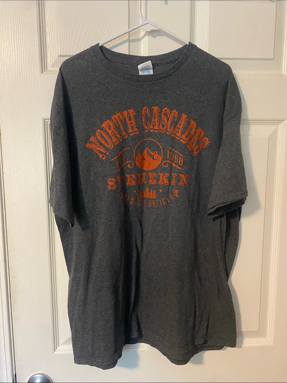 Delta Pro Weight Crewneck Tee in Charcoal with Red and Blue Logo